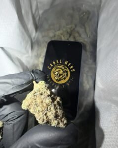 rainbow sherbet 1/8oz bag