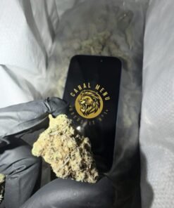 rainbow sherbet 1/8oz bag