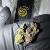 london pound cake sungrown flower 1g 1 gram
