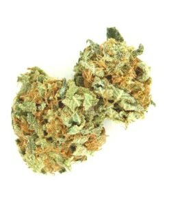 buy ak 47 strain.jpg