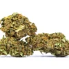 buy acapulco gold strain.webp