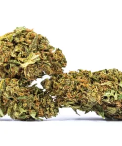 buy acapulco gold strain.webp