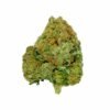 buy alaskan thunder strain.jpg