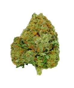 buy alaskan thunder strain.jpg