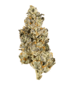 buy banana sundea strain 1.png