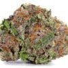 buy biscotti strain online.jpeg