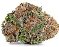 buy biscotti strain online.jpeg