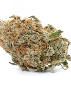 buy blue cheese strain.jpeg
