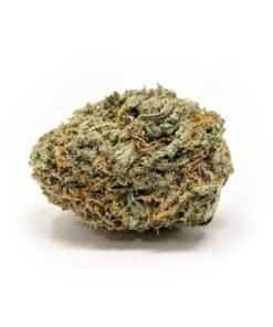 buy blueberry haze strain.jpeg