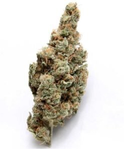 buy bruce banner strain.jpeg