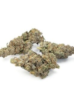 buy candyland strain online.jpg