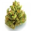 buy chemdawg strain online.jpeg