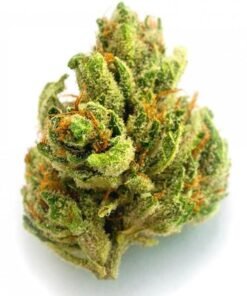 buy chemdawg strain online.jpeg