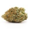 buy comatose strain online.jpeg