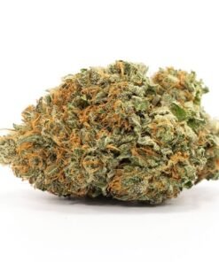 buy comatose strain online.jpeg