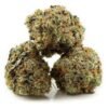 buy cookie monster strain.jpg