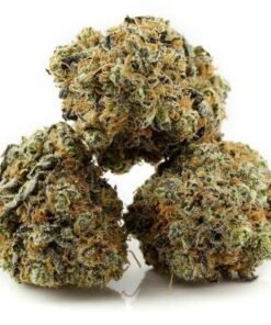 buy cookie monster strain.jpg