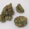 buy critical mass strain.jpg