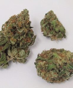 buy critical mass strain.jpg