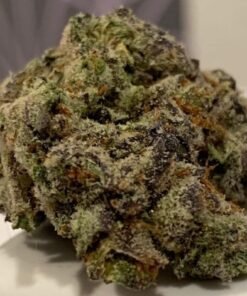 buy dragon og strain 1.jpg