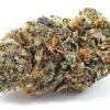 buy forbidden fruit strain.jpeg