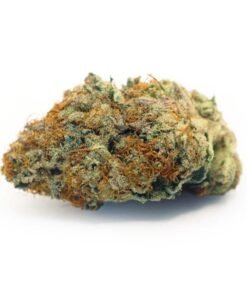 buy fritter mintz strain 1.jpg