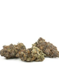 buy fruit punch strain.jpg