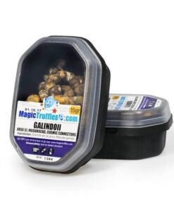 buy galindoii online uk.jpg