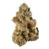 buy gelato strain online.jpeg