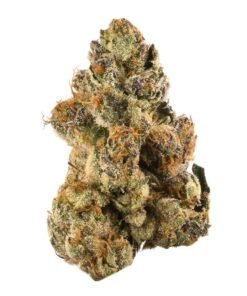 buy gelato strain online.jpeg