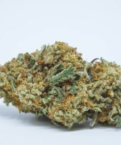 buy golden goat strain.jpg
