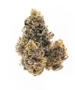 buy grapefruit strain online.jpeg