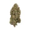 buy gushers strain online.jpg