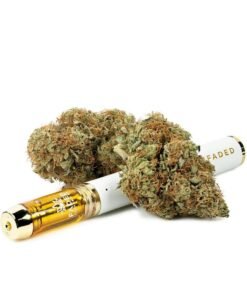buy harlequin strain online.jpg