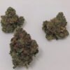 buy hash plant strain.jpg
