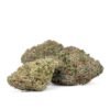 buy jack herer strain.jpg
