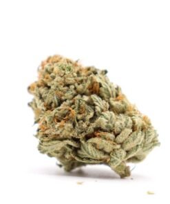buy king kush strain.jpeg