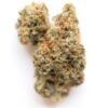 buy lemon meringue strain.jpg