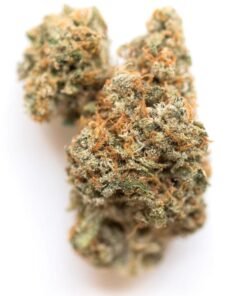 buy lemon meringue strain.jpg