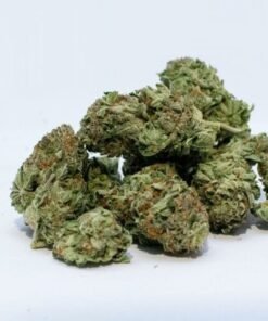 buy mimosa strain online.jpg