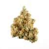 buy nyc diesel strain.jpg