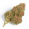 buy northern lights strain.jpeg