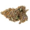 buy purple haze online.jpeg