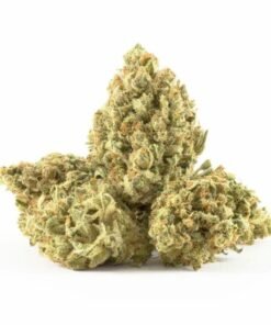 buy silver haze strain.jpeg
