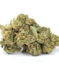 buy skywalker og strain.jpeg