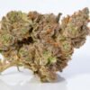 buy stardawg strain online.jpg