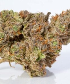 buy stardawg strain online.jpg