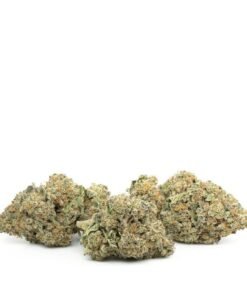 buy strawberry cough strain.jpg