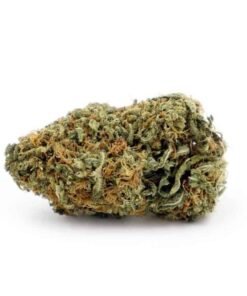 buy sunset sherbet strain.jpeg