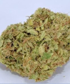 buy thc bomb strain.jpg